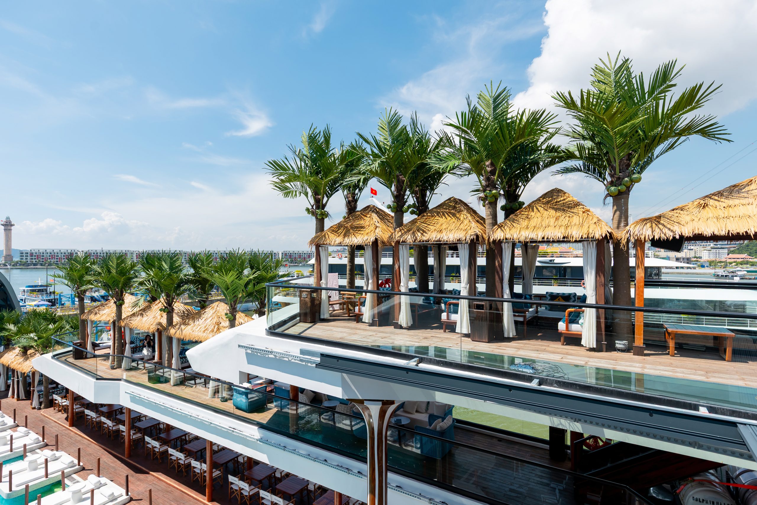 DU THUYỀN DOLPHIN - Ảnh 2