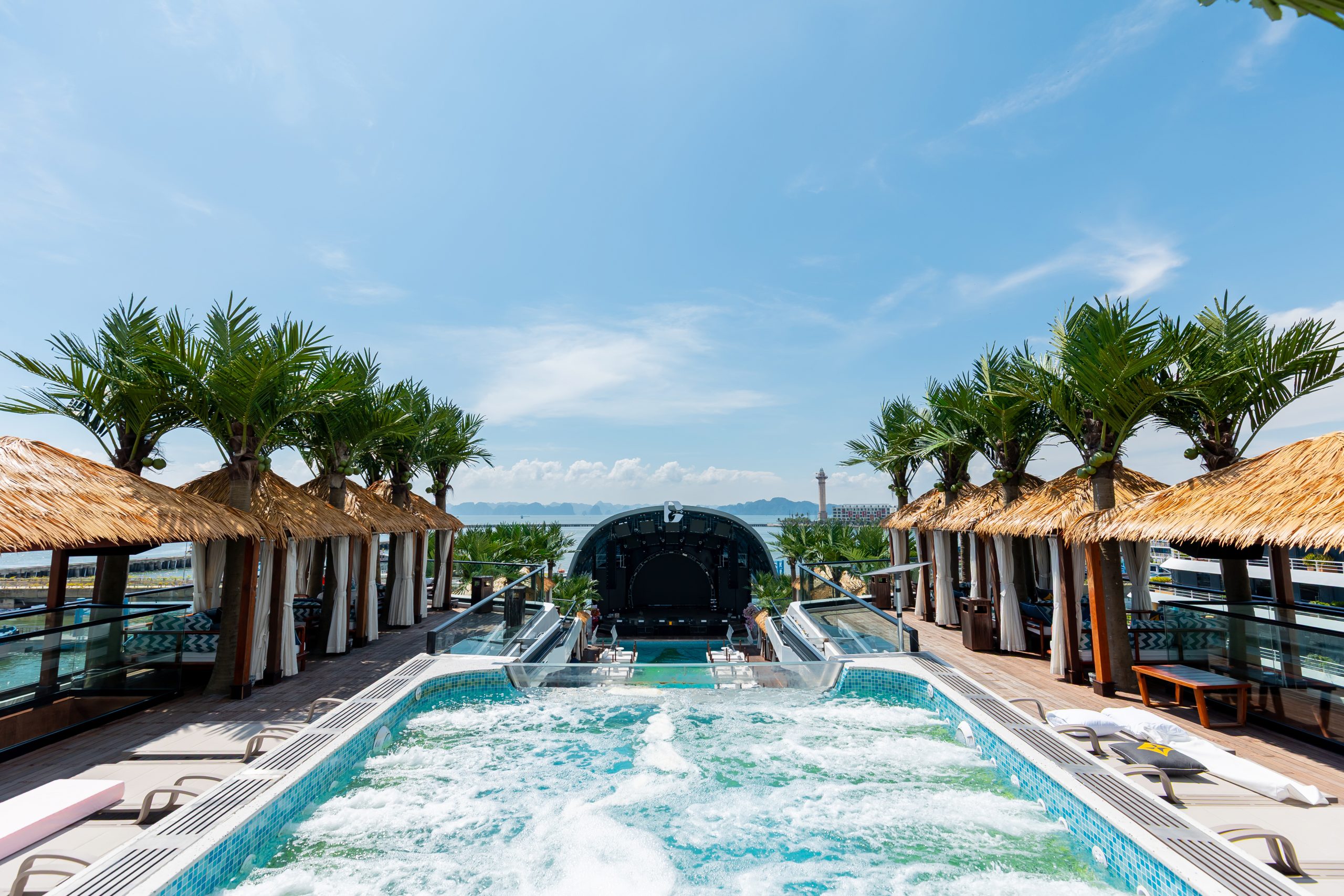 DU THUYỀN DOLPHIN - Ảnh 3