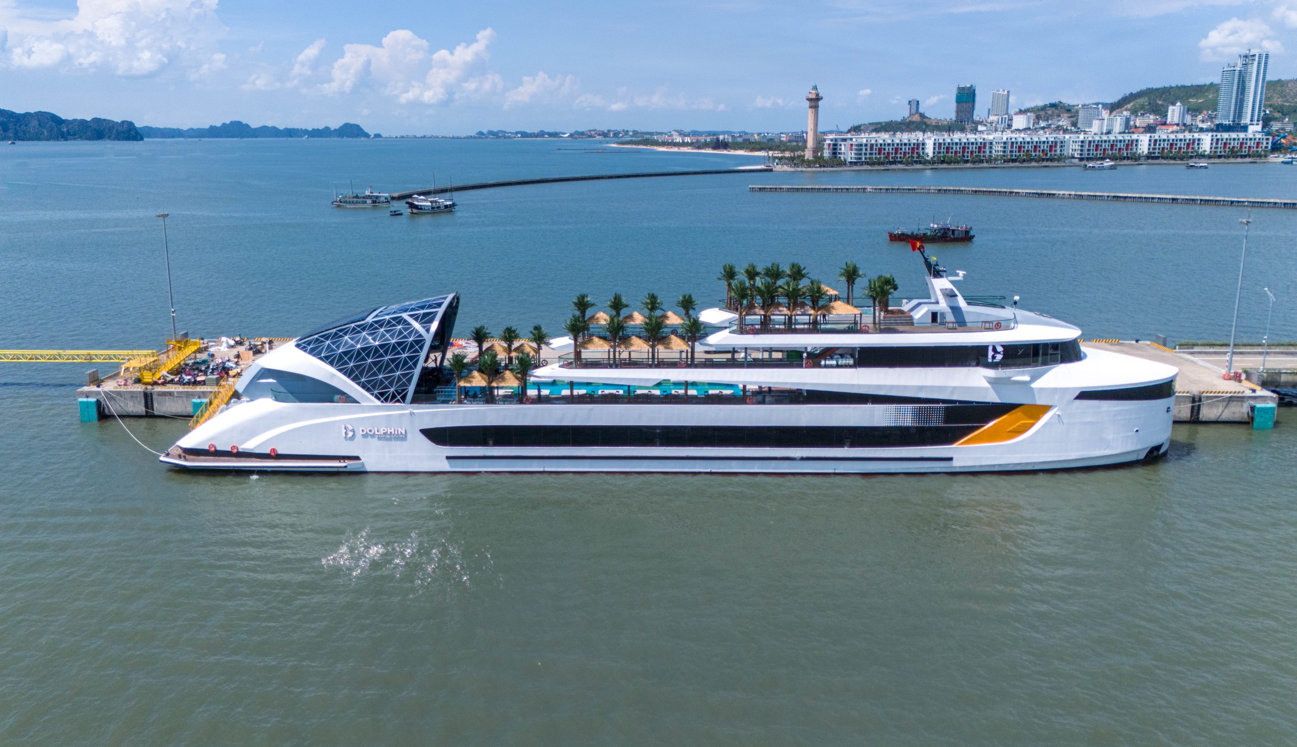 DU THUYỀN DOLPHIN - Ảnh 23