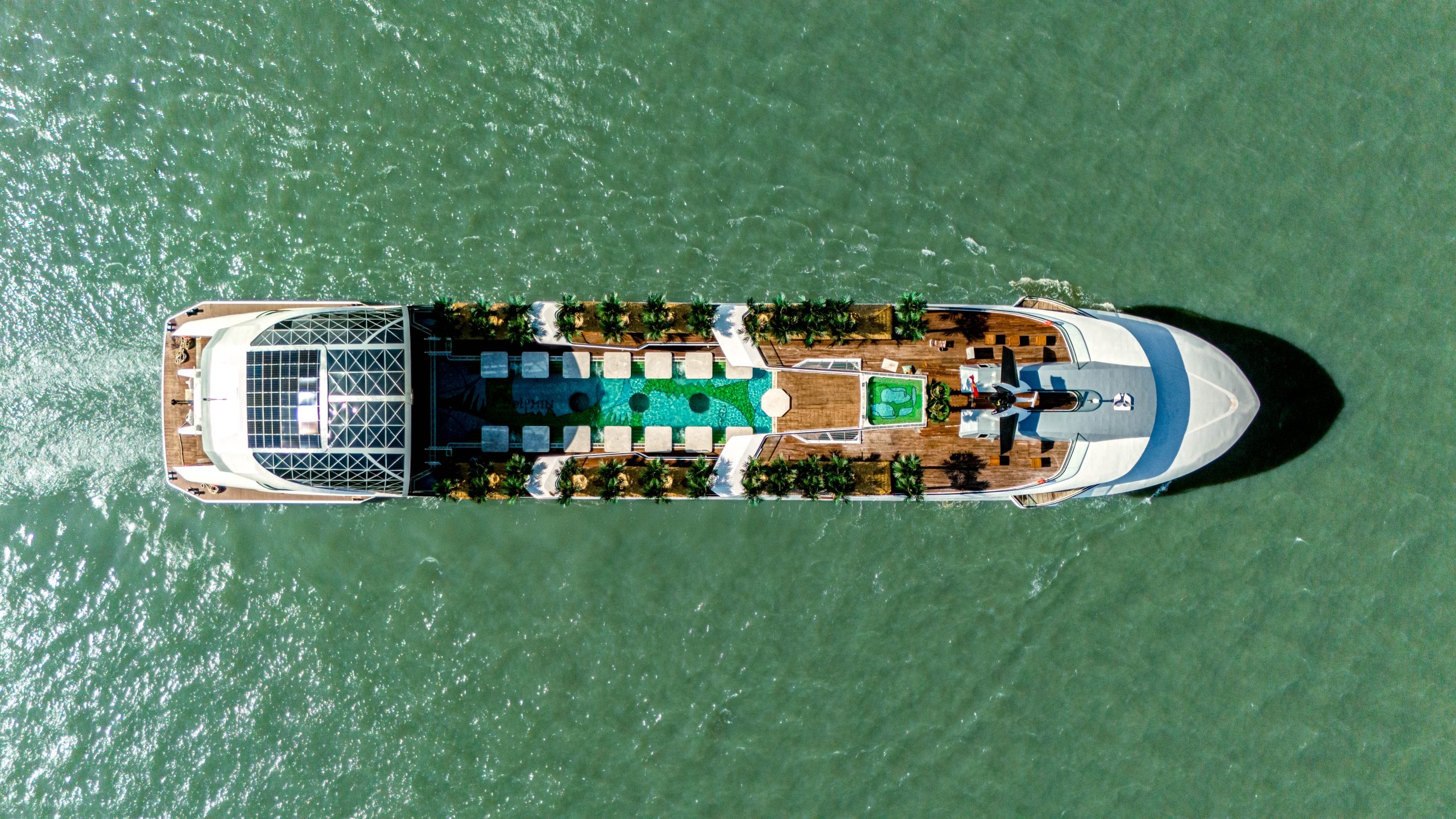 DU THUYỀN DOLPHIN - Ảnh 22