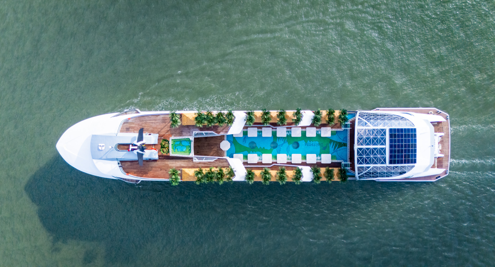 DU THUYỀN DOLPHIN - Ảnh 20